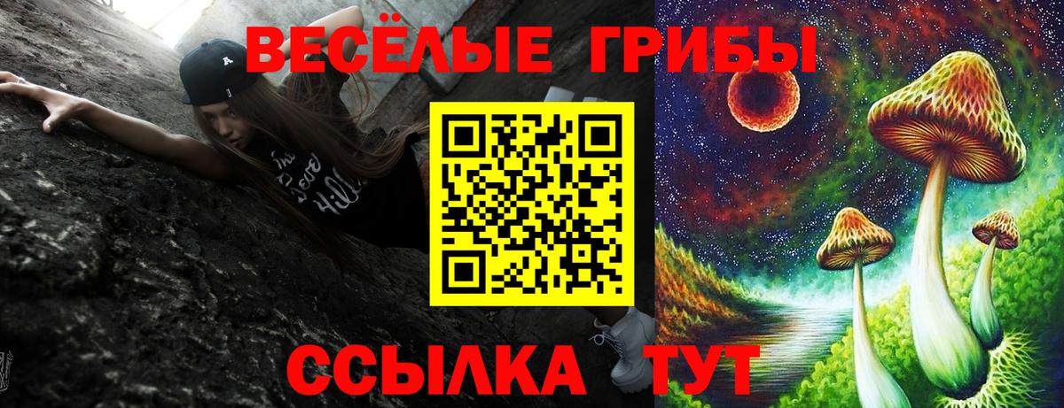 Десногорск  Псилоцибиновые грибы прущие грибы  Вход с VPN  Псилоцибиновые грибы GOLDEN TEACHER 